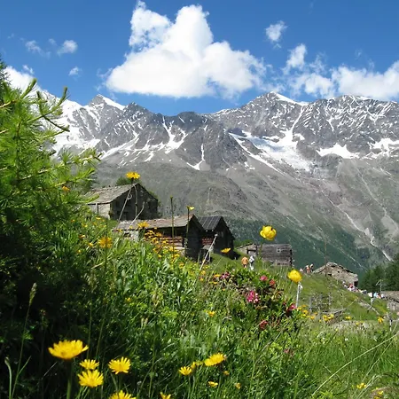Apartment Ferienhaus-apartment Golf Saas-Fee
